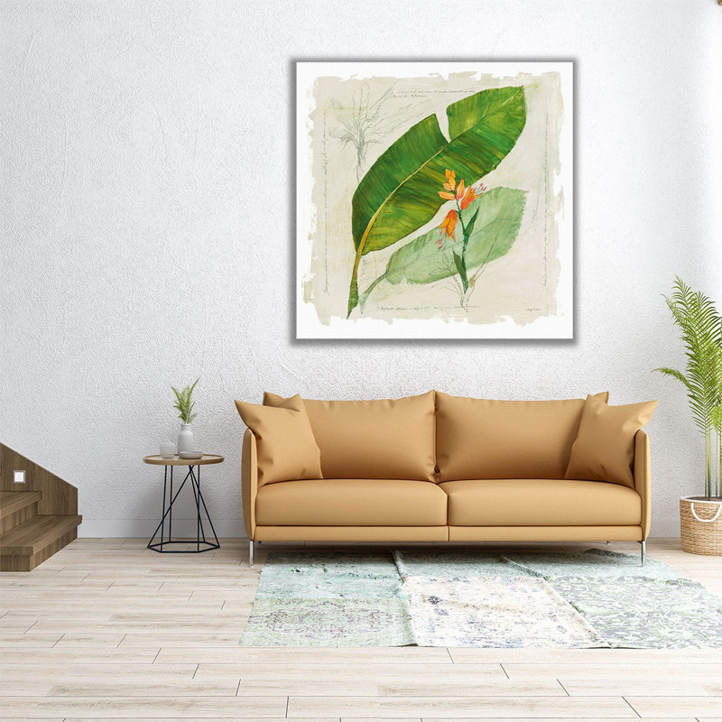 «Botanical Study I», reproduction d'art sur toile, H 16 po x l 16 po