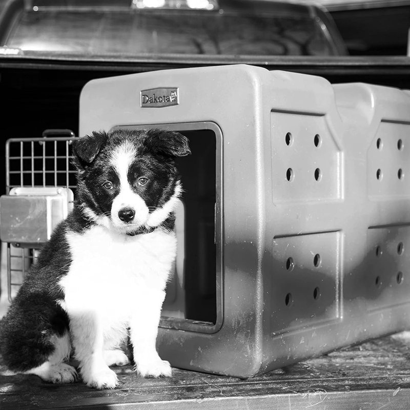 G3 SMALL Plastic Pet Crate with 1 Door, Gray