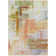 Machine Washable Indoor/Outdoor Chayden ACN1067 Coral Rug