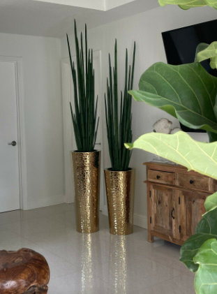 Faux Snake Plant (Sansevieria) Grass