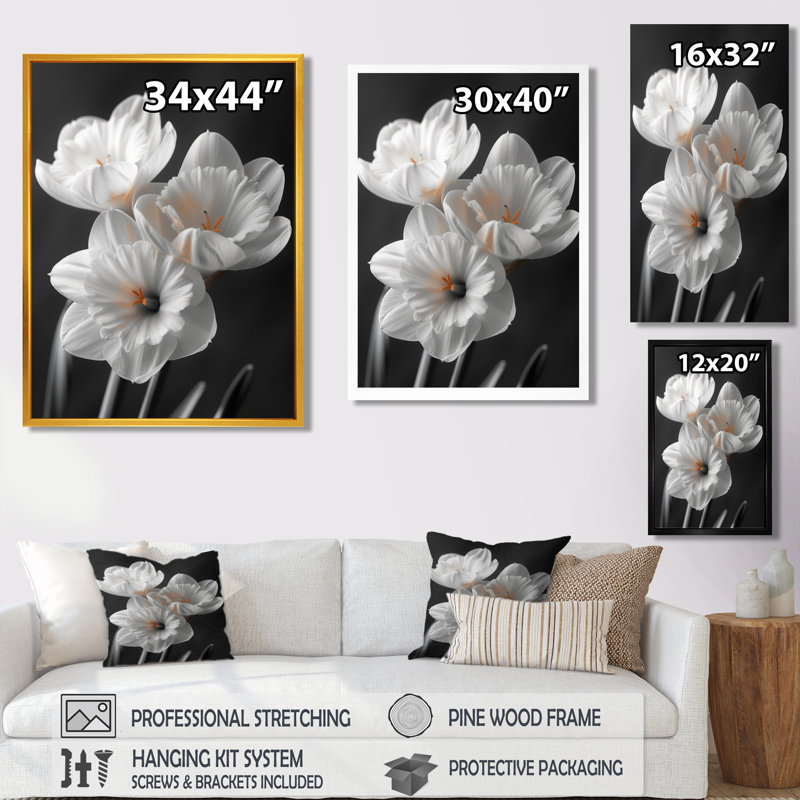 Monochromes blancs jaunes botaniques jonquilles II - jonquilles, impression d'art mural, H 34 po x l 44 po, Cadre simple noir