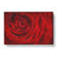Dewdrops Upon A Red Rose Painting - Wrapped Canvas-56657944