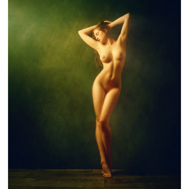 Shine Canvas Print, 76.2 cm H x 50.8 cm W