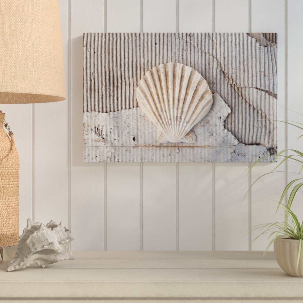 Highland Dunes 'Seashells IV' Photographic Print on Wrapped Canvas ...