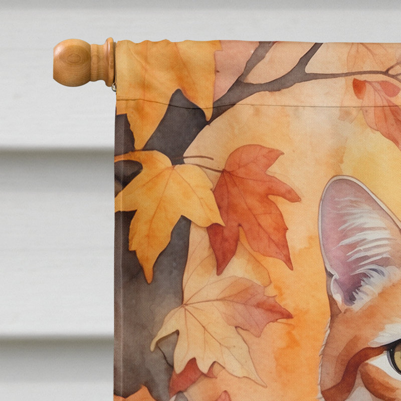 Chat en feuilles d'automne, Cheetoh