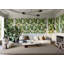 Banana Palm Dream-768058939-768058938