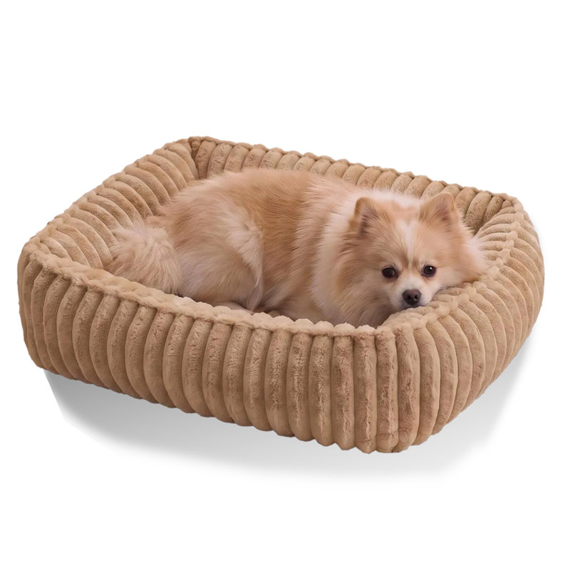 Canapé-lit rectangulaire d'intérieur pour chien, à rayures douces, avec surface pelucheuse et rembourrage en coton PP, 60 x 50 cm. Coussin de couchage pour animal de compagnie avec bords surélevés et fond antidérapant, marron.