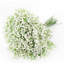 15 fleurs artificielles Babys Breath-101876950
