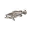 Animals Estuary Cod Fish Wall Décor