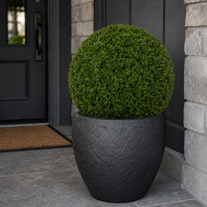 3Rd Street Inn Cypress Topiary Ball, 2 Pack, 19" H x 19" W