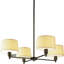 Real Simple 4 - Light Chandelier