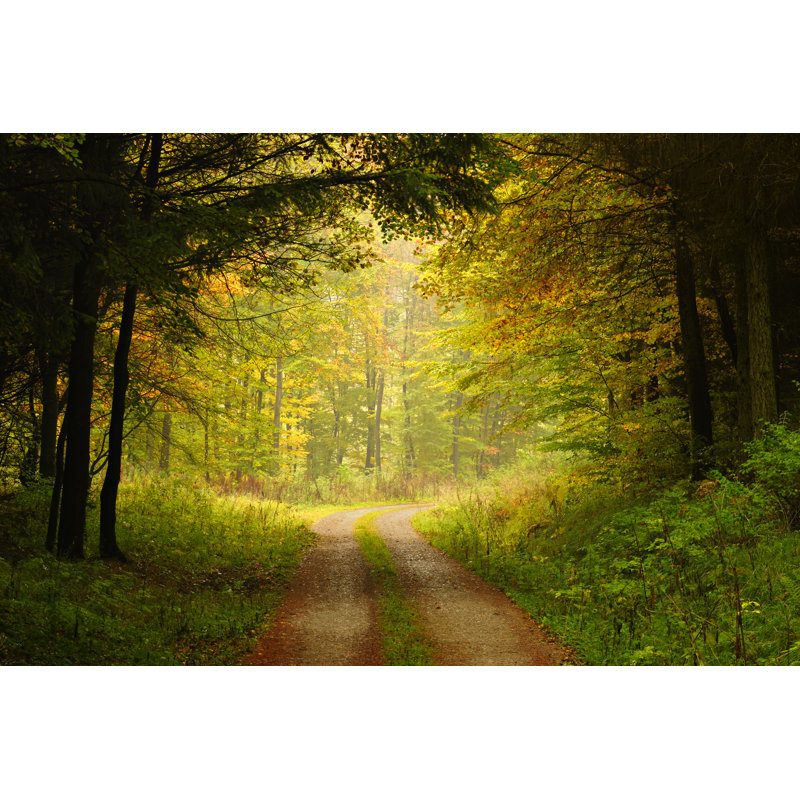 Hiking Path by AVTG - Wrapped Canvas Print, 81cm H x 122cm W
