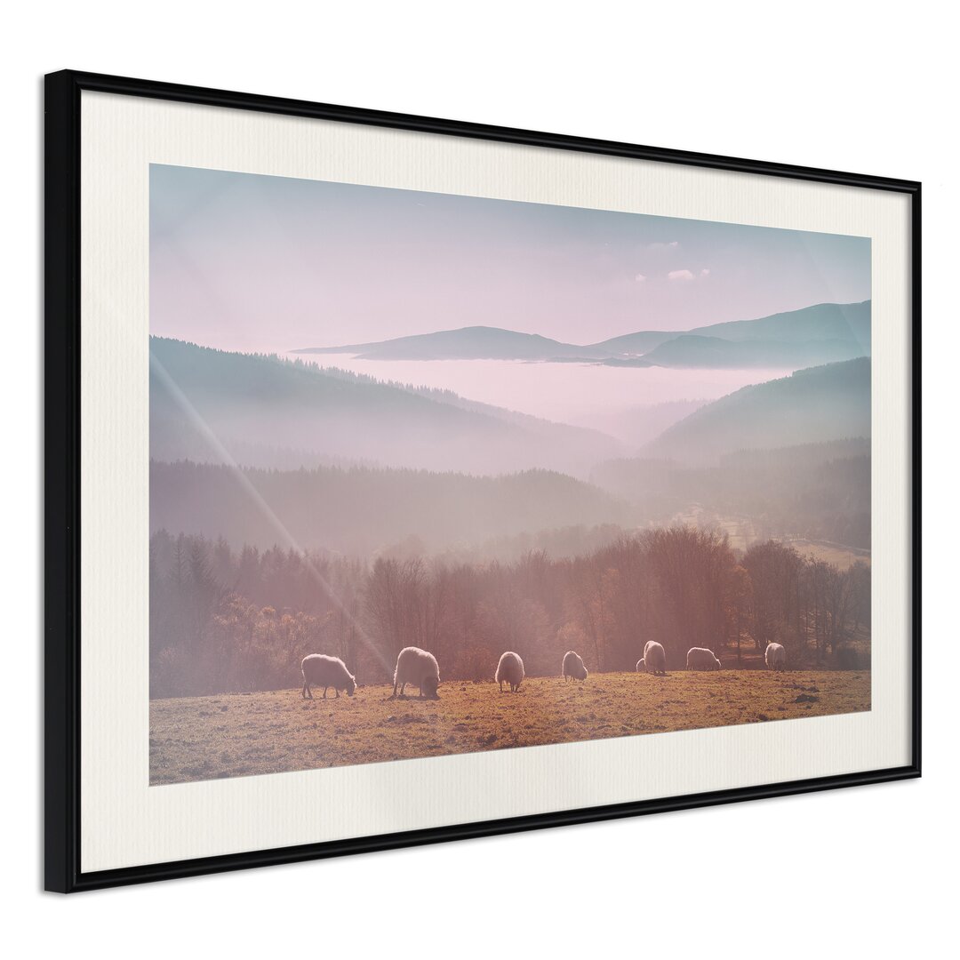 Gerahmtes Poster Mountain Pasture