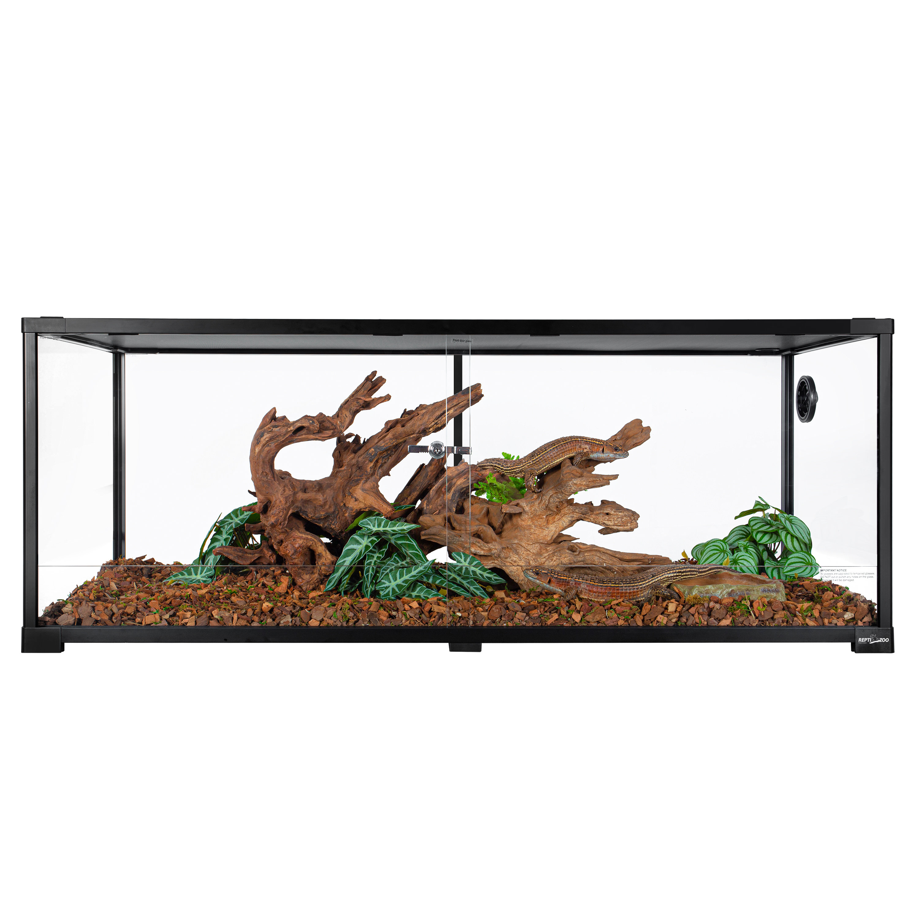 GUZZLO 48'' x 18'' x 18'' Reptile Terrarium & Reviews - Wayfair Canada