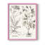 Sépia Besler Botanicals, reproduction d'art encadrée - bois massif-1772959100-1772959089