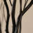 Seaford Willow Branches-737913346-737890572