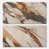 Breccia Multicolor