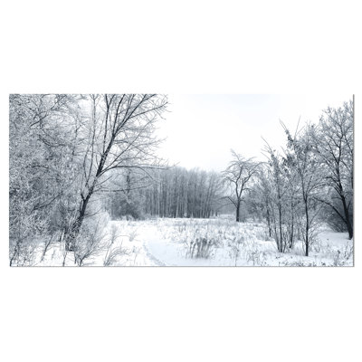 " Beautiful Winter Panorama "