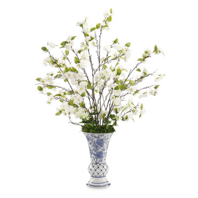 Cerises chinoises bleues