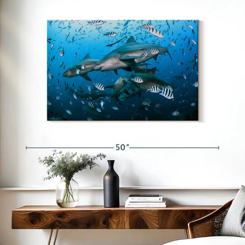 Aletra Beqa Lagoon Sharks, H 26 po x l 39 po