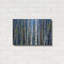 «Mystery Of Trees-Birches» par Sharon Pitts-46124