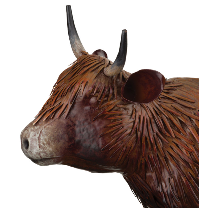 Vache Highland 10 po