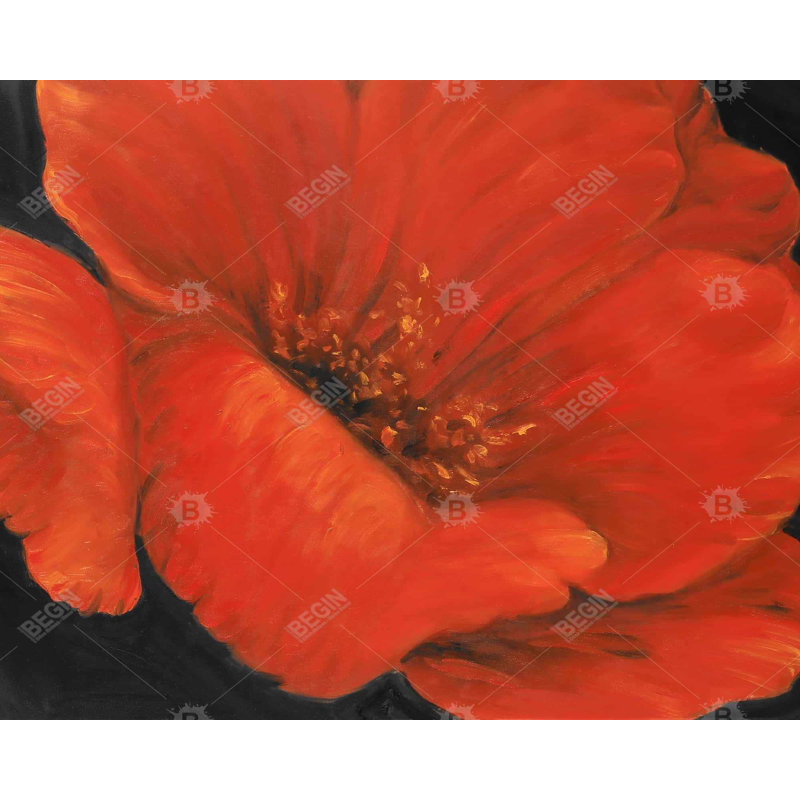 Red Flower Print On Canvas