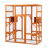 Large Cat Enclosure With 5 Perches