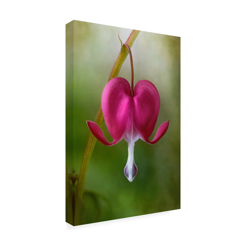 Mandy Disher, H 19 po x l 12 po x P 2 po