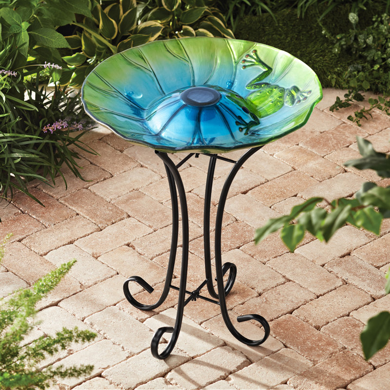 Solar Frog Bird Bath
