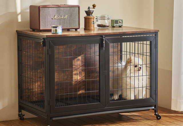 Dog Crates Under $200