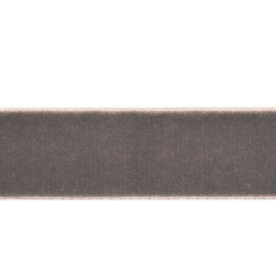 Reign A Ribbon Fabric