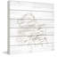 Parvez Taj - No Frame Print on Wood-22661237
