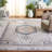 Desieree Performance Oriental Rug-239581290