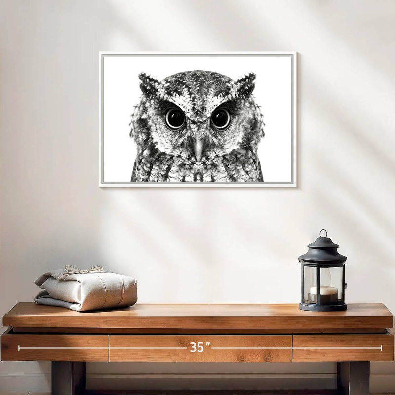 Hibou envoûtant, Cadre flottant blanc, 19 po x 13 po