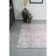 Derouen Oriental Area Rug-26206219