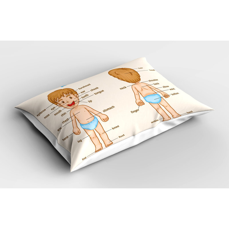 Ensemble de 2 taies décoratives Ambesonne Science - bleu pâle / brun pâle, H 20 po x l 30 po