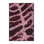 Abstract Indoor Rug