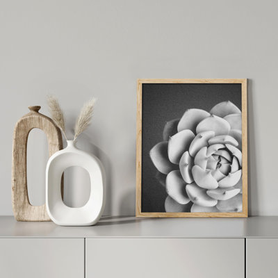 "Succulent cactus noir et blanc en fleurs" sur papier
