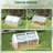 6' X 3' Greenhouse For Garden, Clear, Steel Frame, 2 Covers & Accessible Windows Clear Portable 3', Steel, Pe/Plastic Covers, Adjustable