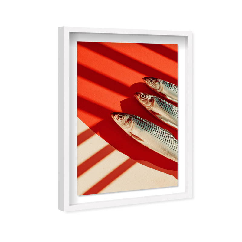 Coast Catch Print by Oliver Gal, 31.5"H x 21.5"W, White Shadowbox
