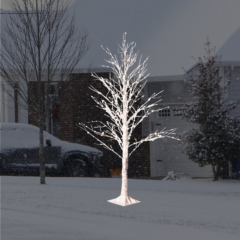 60'' LED Twinkle Lighted Trees & Branches