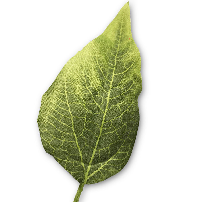 Tige de tournesol, Rouge / Vert / Brun