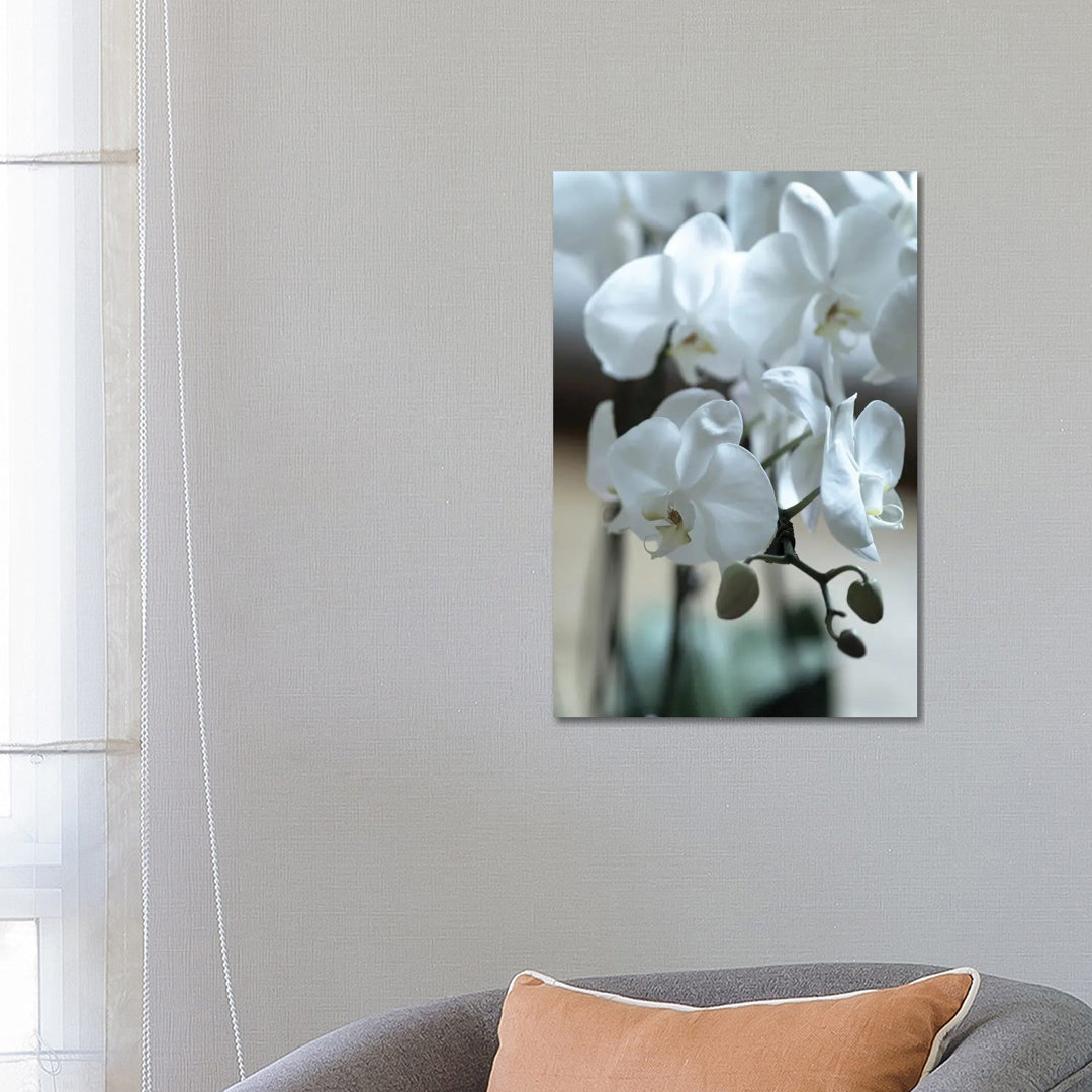 Delicate Orchids In Color von Teal Production - No Frame Gallery-Wrapped Canvas Giclée on Canvas