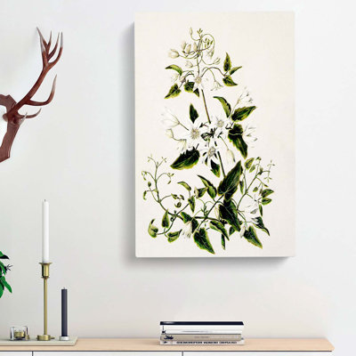 Clematis Flowers by Sarah Featon - Wrapped Canvas