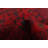 Red Rug 2'6" x 4'0"