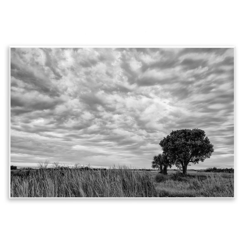 Plaque murale arbre solitaire sous les nuages, design par Jon Evan, H 13 po x l 19 po