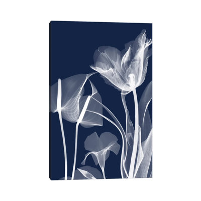 Navy Flora II by Albert Koetsier - Wrapped Canvas Painting