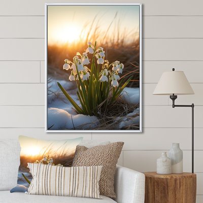 Coucher de soleil vert, hiver, coucher de soleil I