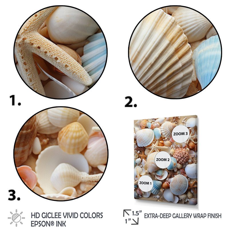 «Beach Photo Seashell Beauty I - Coastal Animal», reproduction d'art mural, H 32 po x l 24 po x P 1 po, Encadrement doré